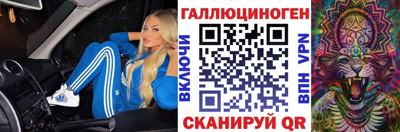 Купить где  Елизаветинская  Галлюциногенные грибы Psilocybe 